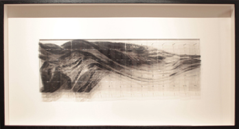Nature morte (fleur maquette)